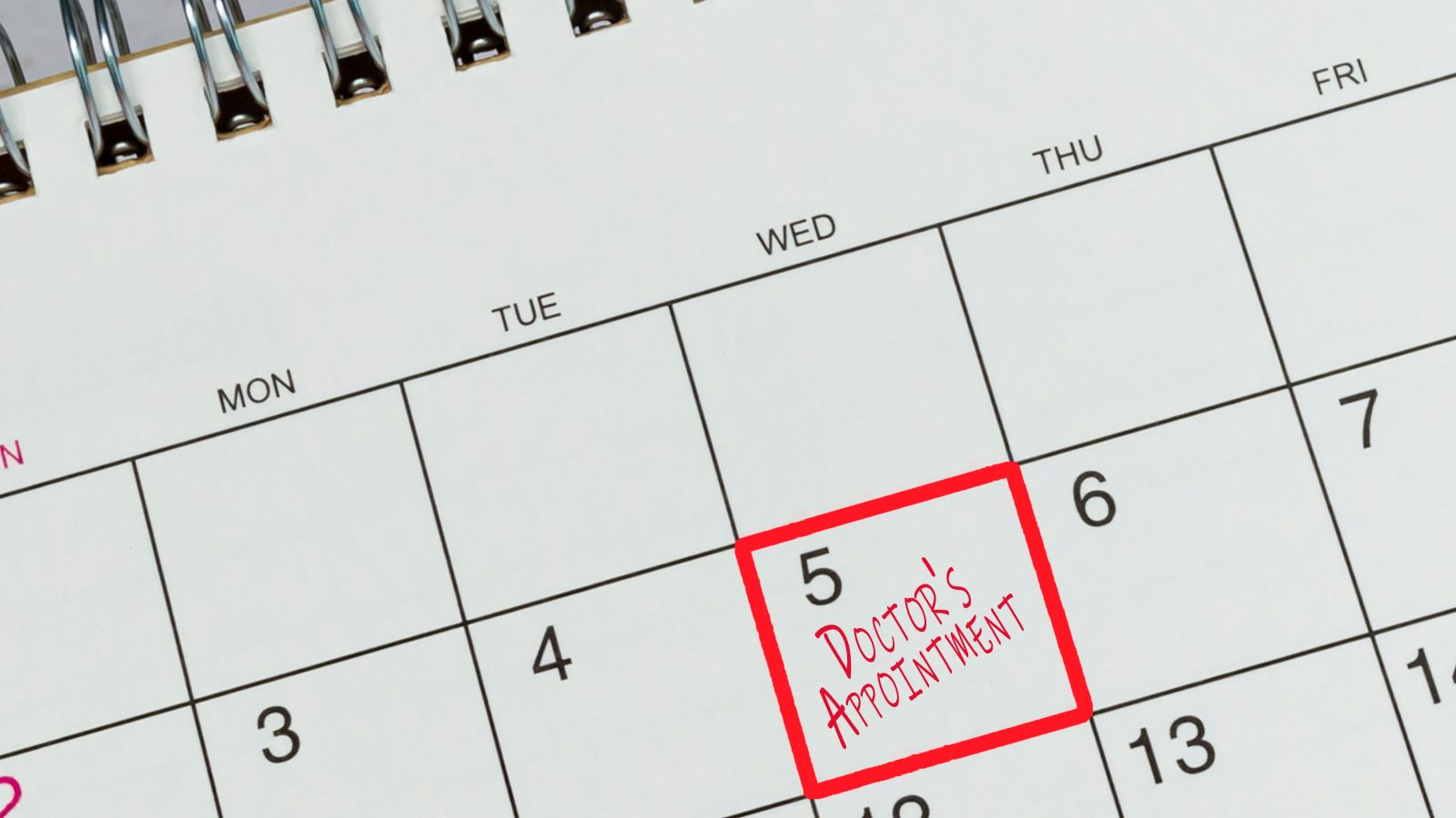 Shutterstock 2400843453